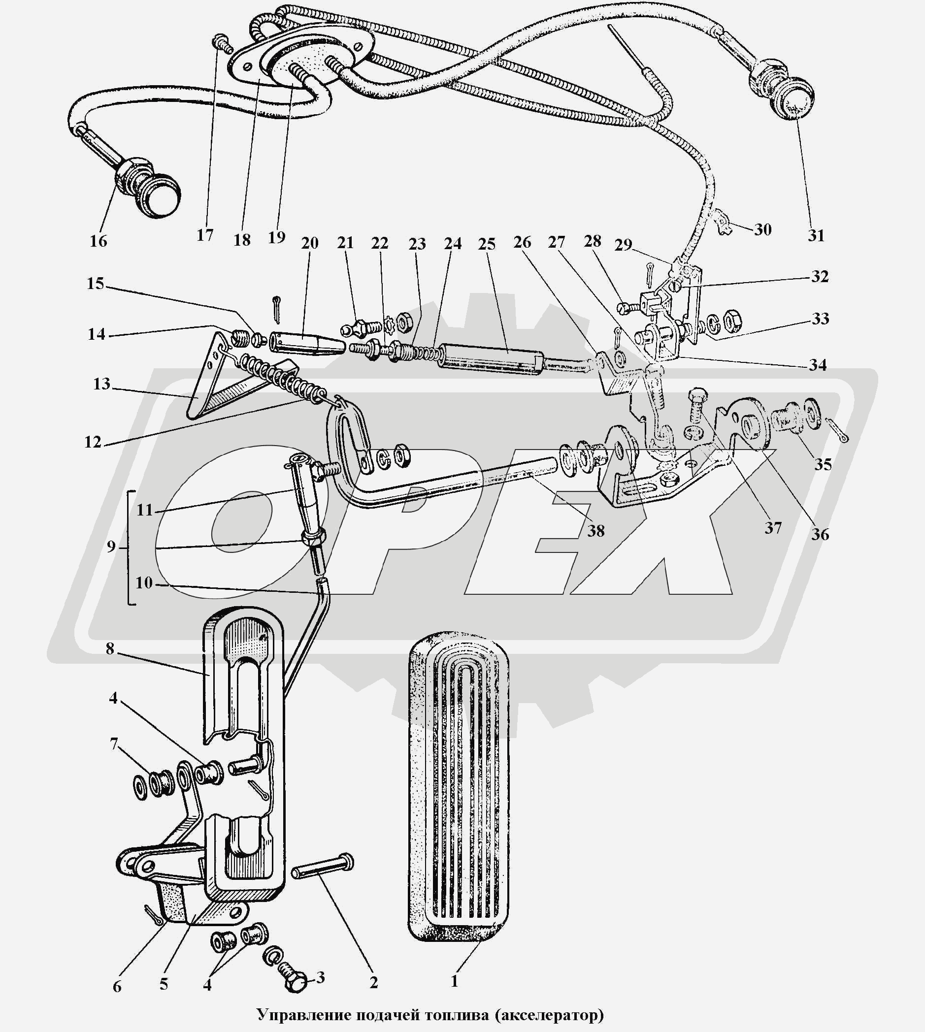 К сожалению, изображение отсутствует