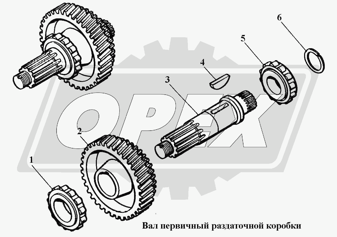 К сожалению, изображение отсутствует