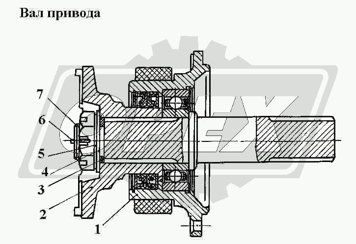 К сожалению, изображение отсутствует