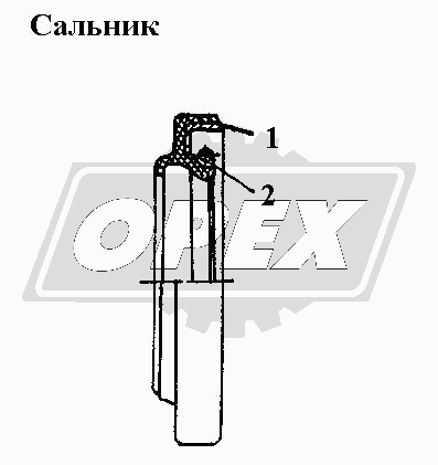 К сожалению, изображение отсутствует