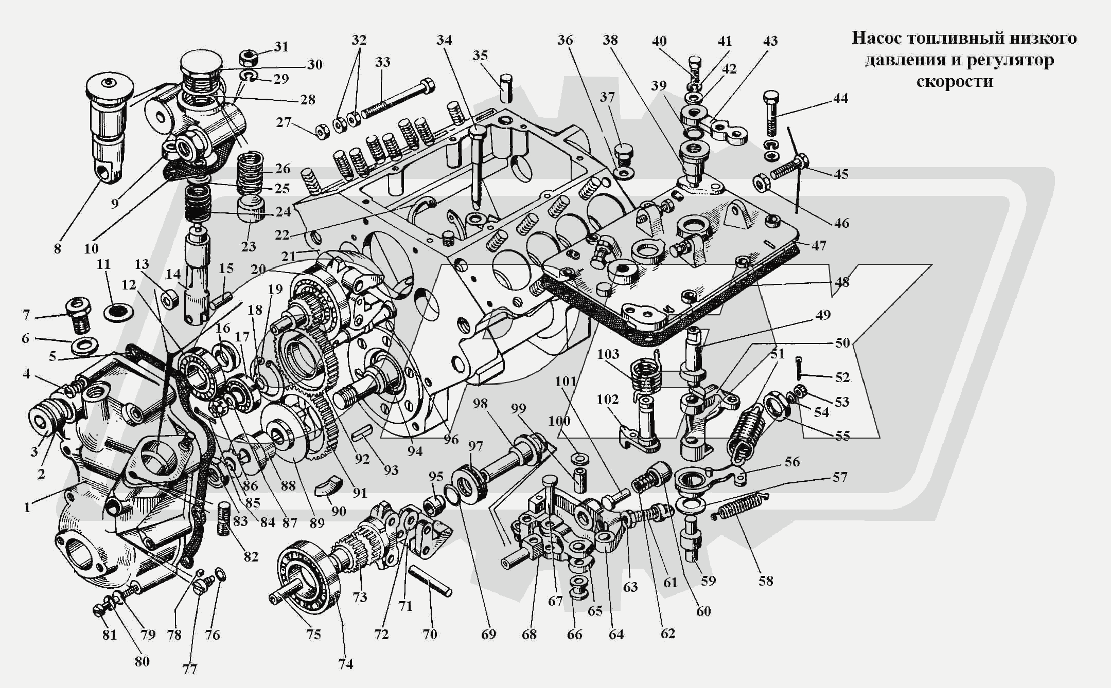 К сожалению, изображение отсутствует