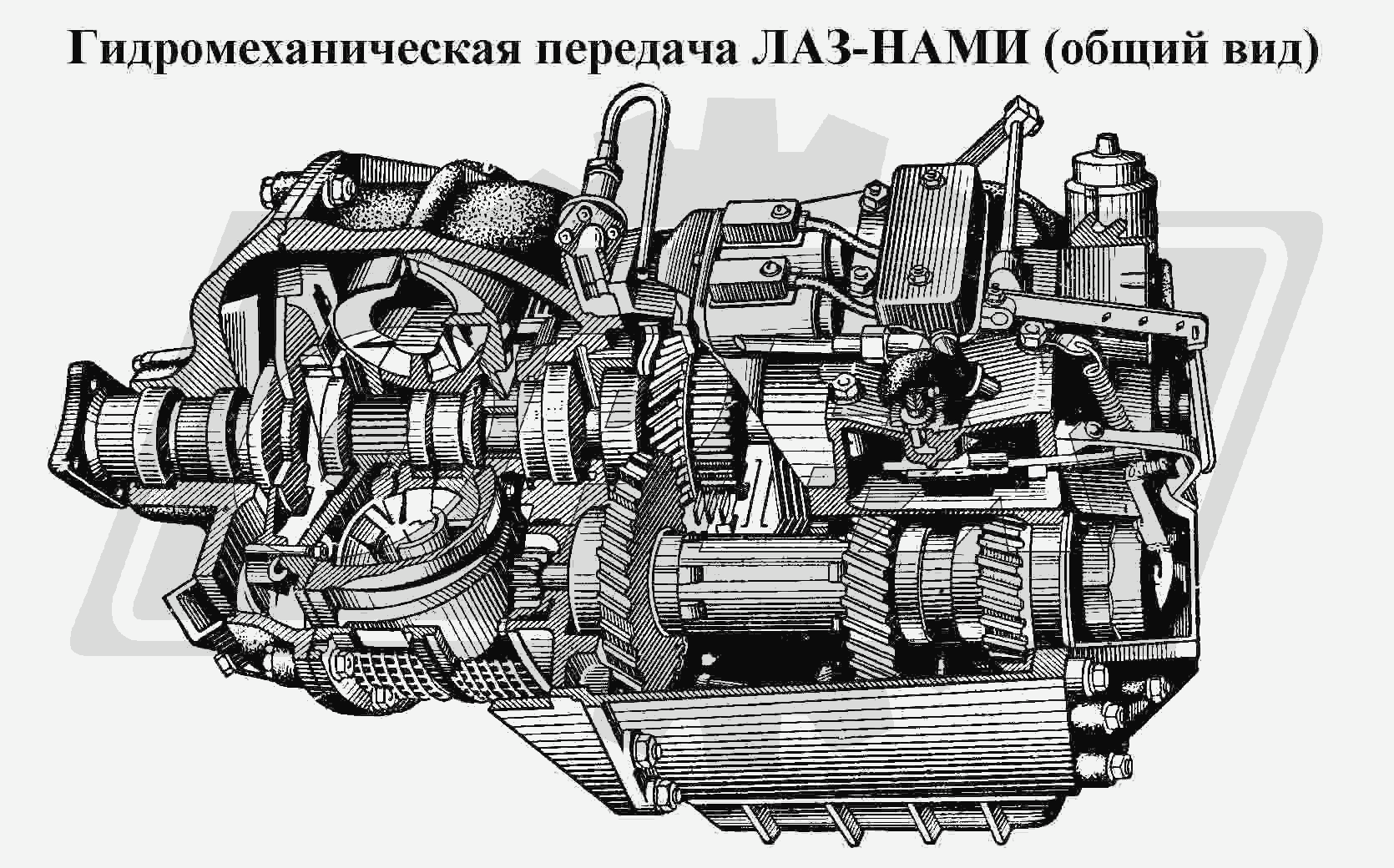 К сожалению, изображение отсутствует