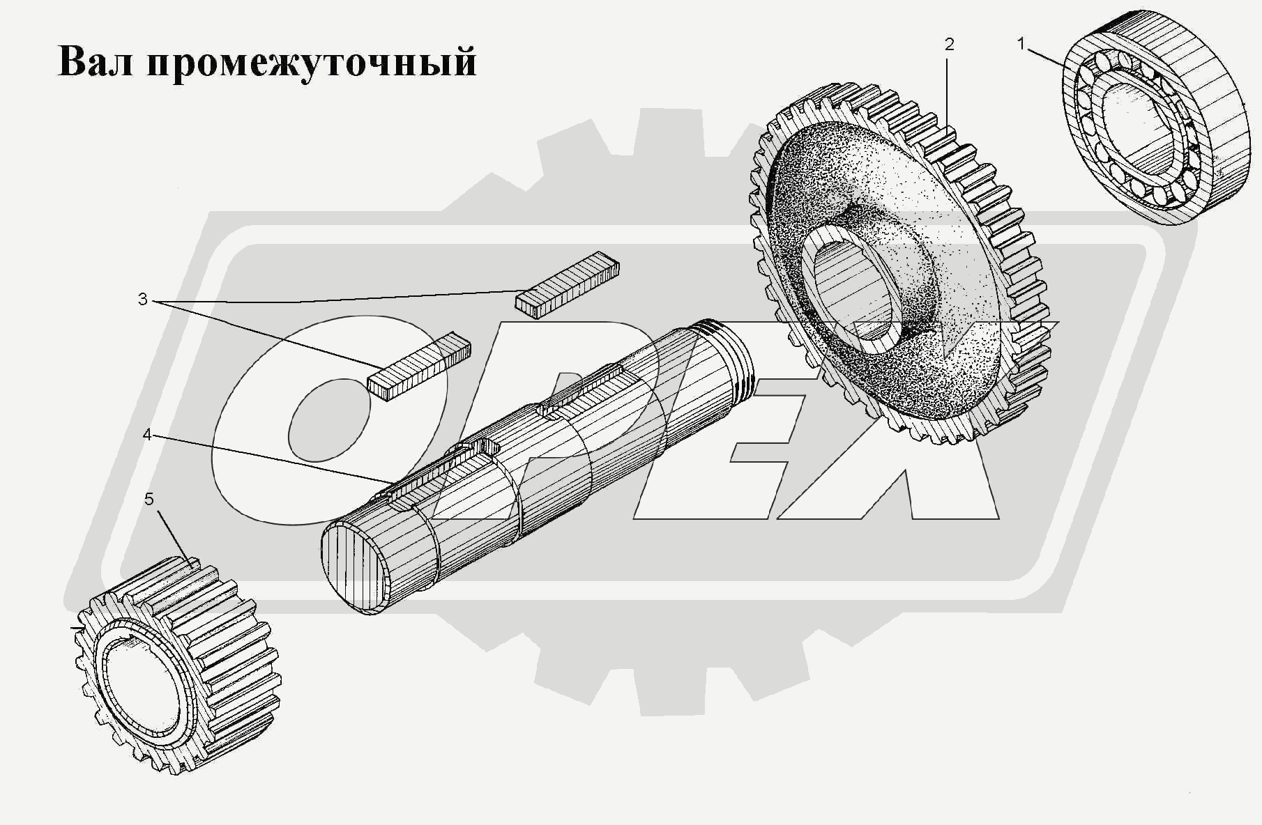 К сожалению, изображение отсутствует