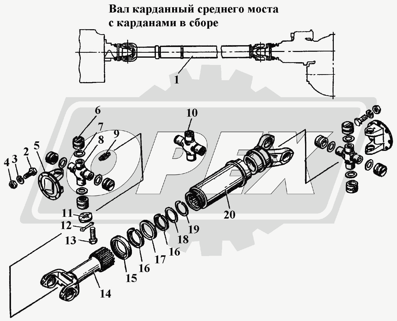 К сожалению, изображение отсутствует