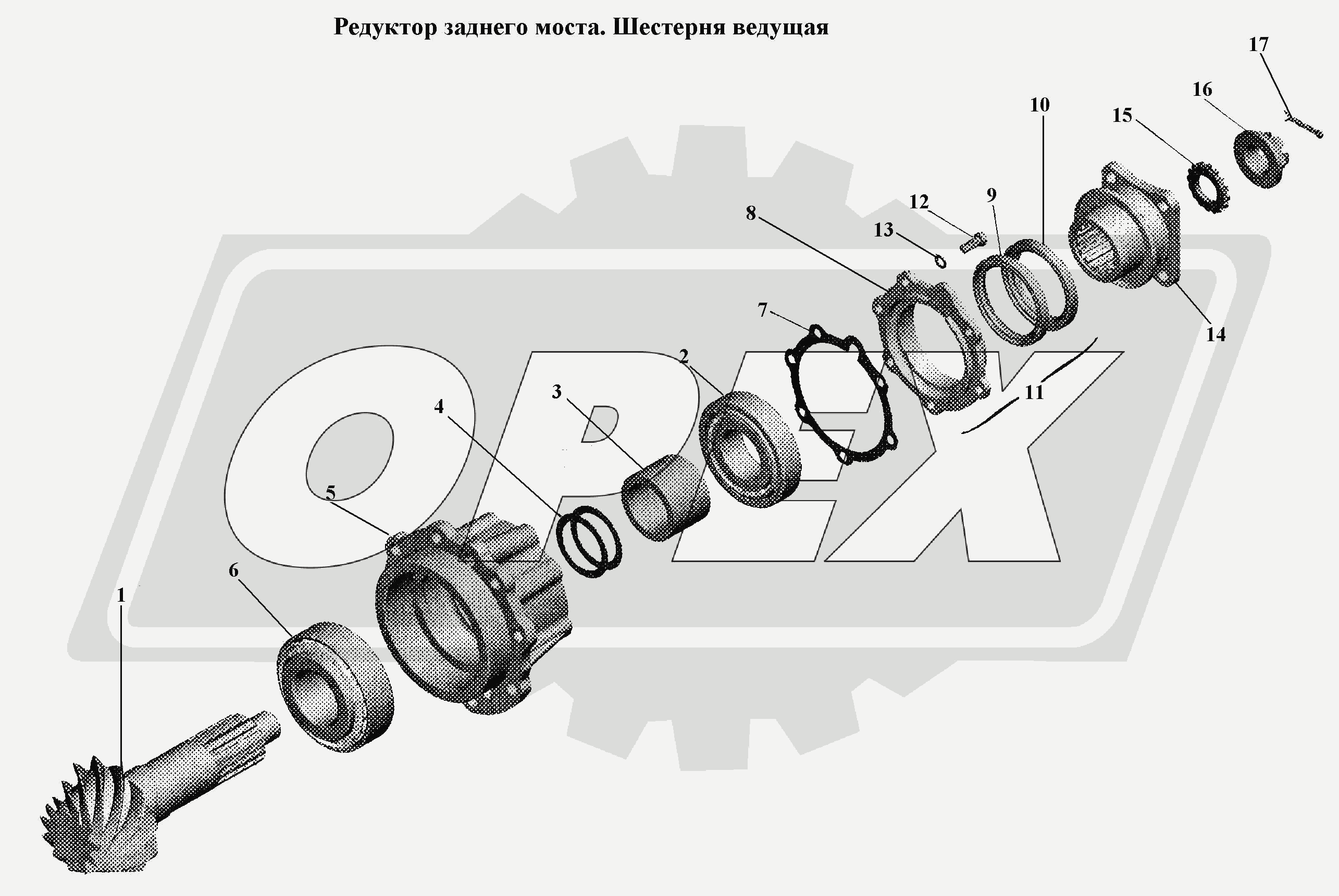 К сожалению, изображение отсутствует