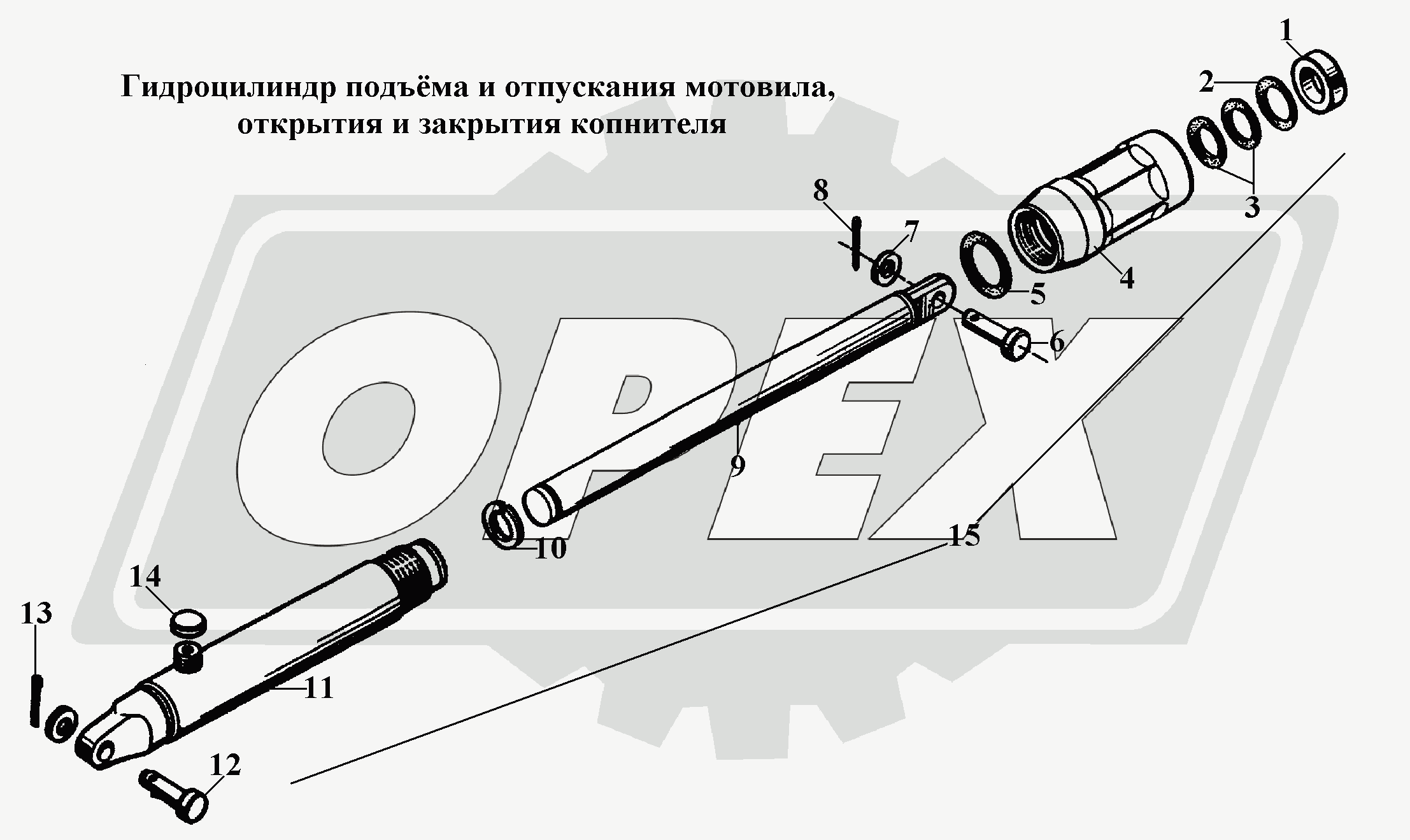 К сожалению, изображение отсутствует