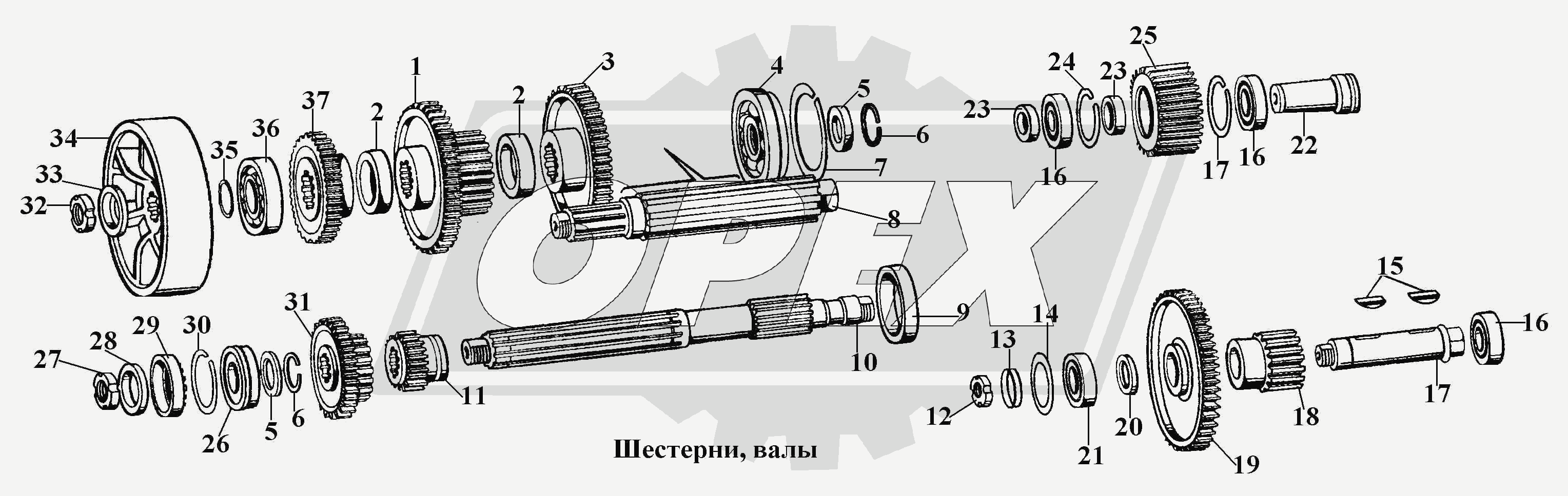 К сожалению, изображение отсутствует