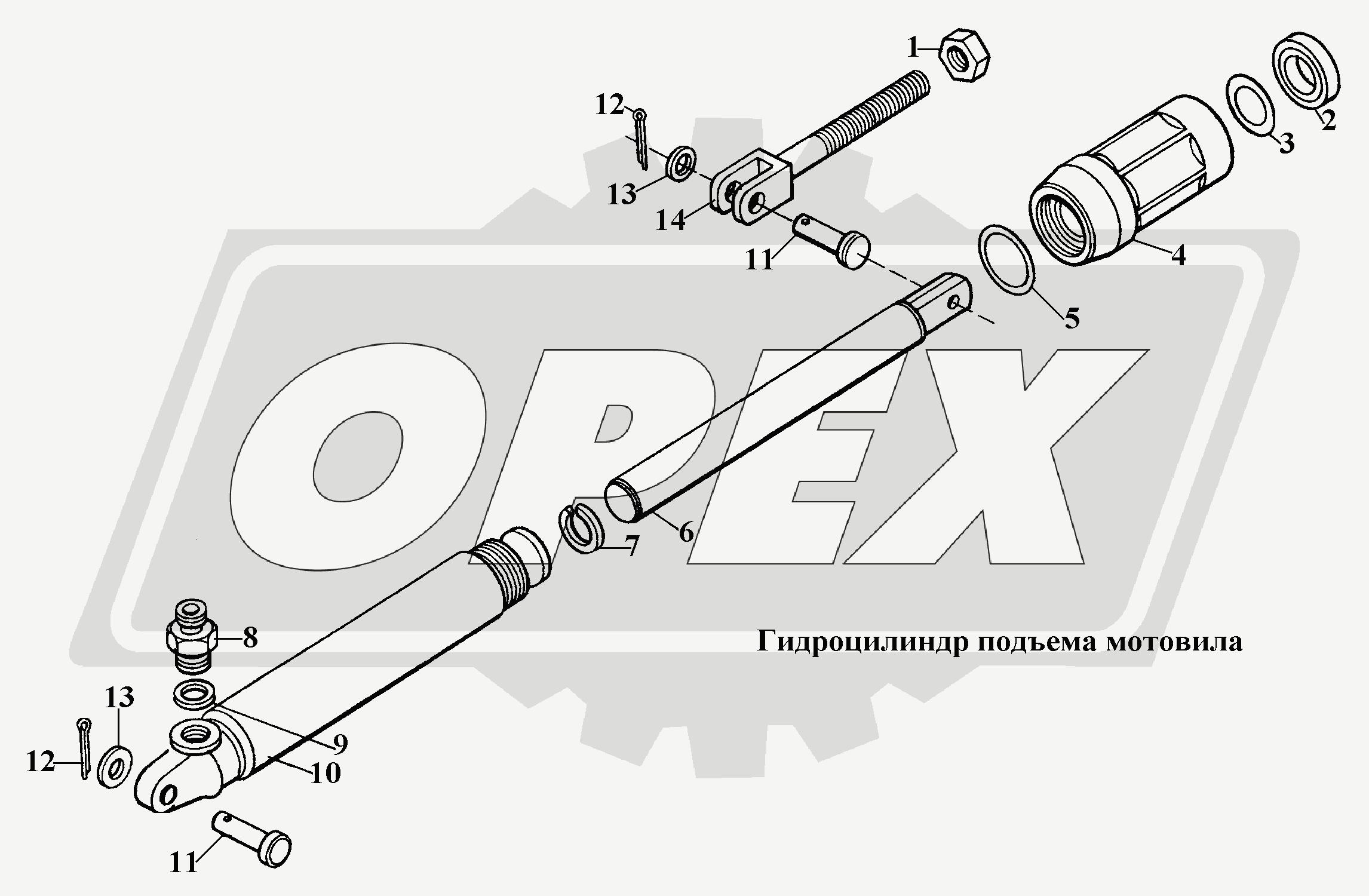 К сожалению, изображение отсутствует