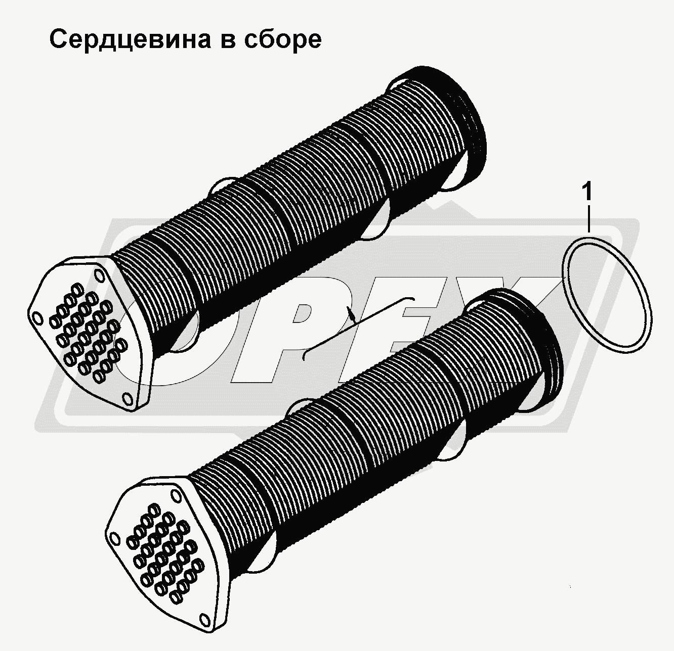 К сожалению, изображение отсутствует