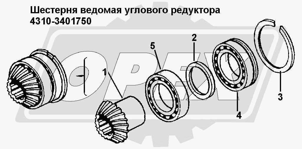 К сожалению, изображение отсутствует