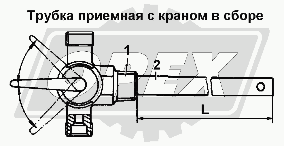 К сожалению, изображение отсутствует