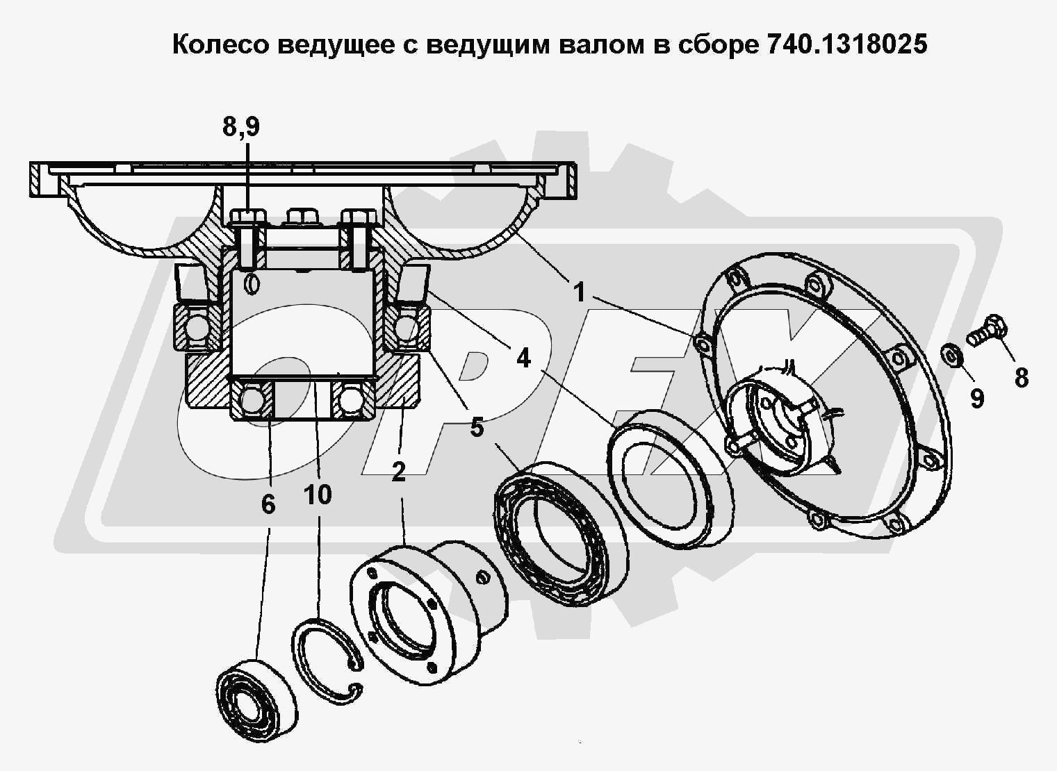 К сожалению, изображение отсутствует