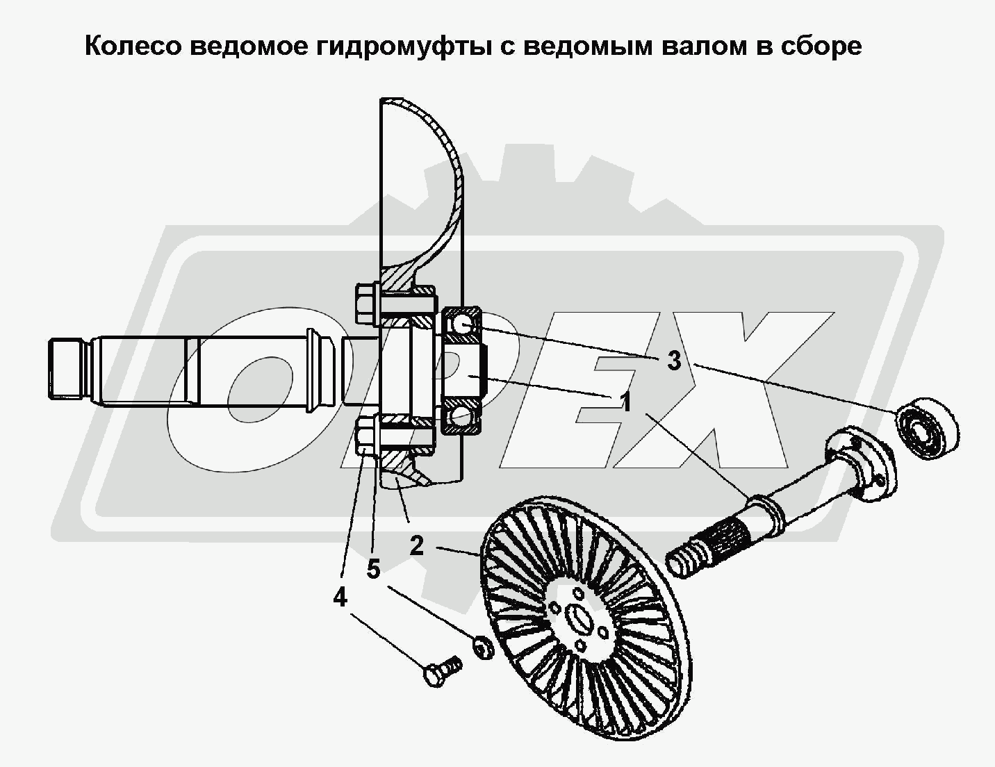 К сожалению, изображение отсутствует