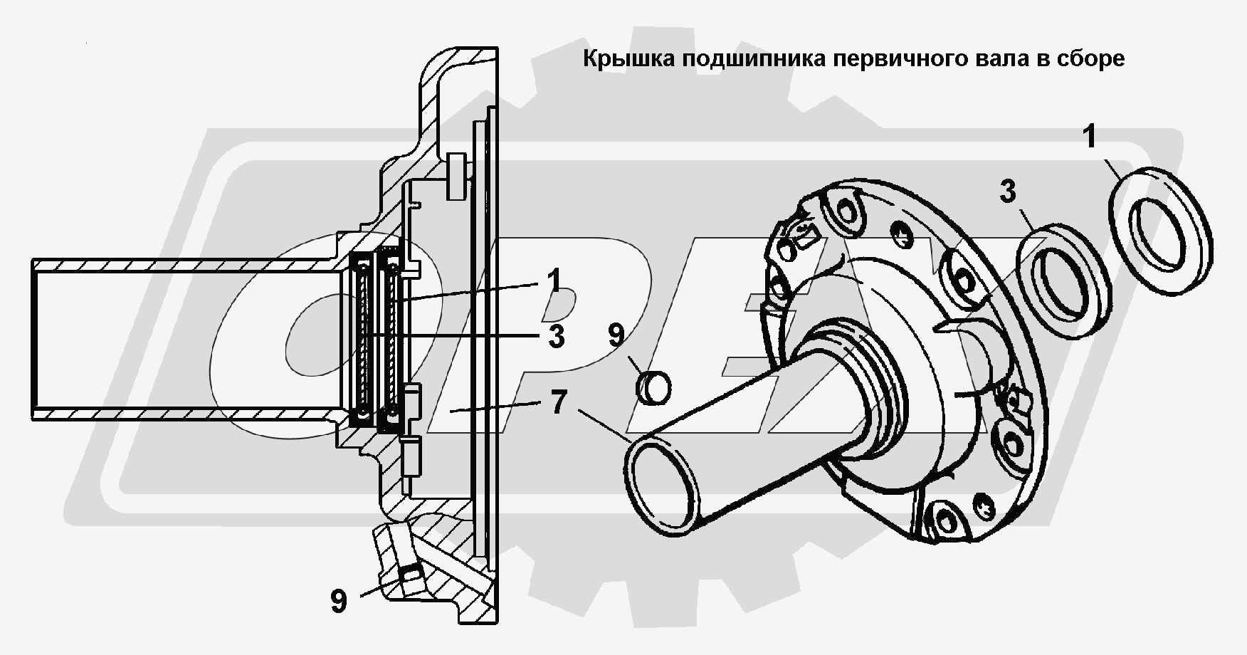 К сожалению, изображение отсутствует