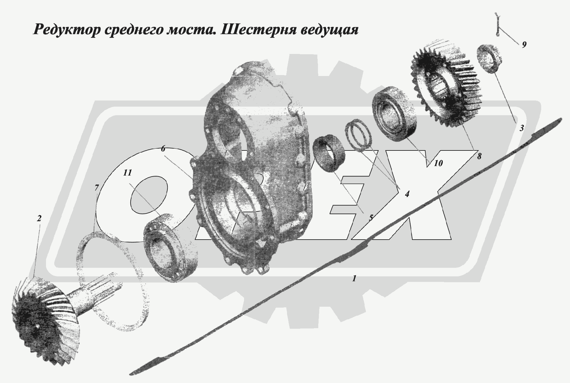 К сожалению, изображение отсутствует