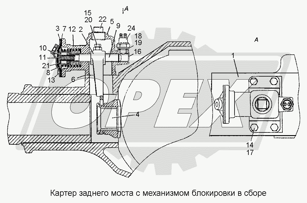 К сожалению, изображение отсутствует