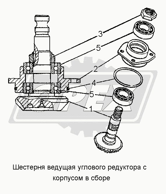 К сожалению, изображение отсутствует