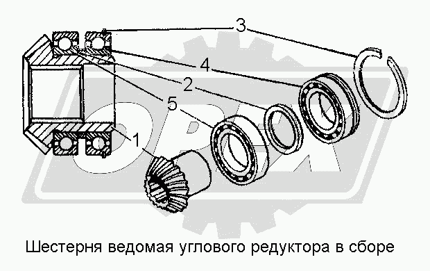 К сожалению, изображение отсутствует