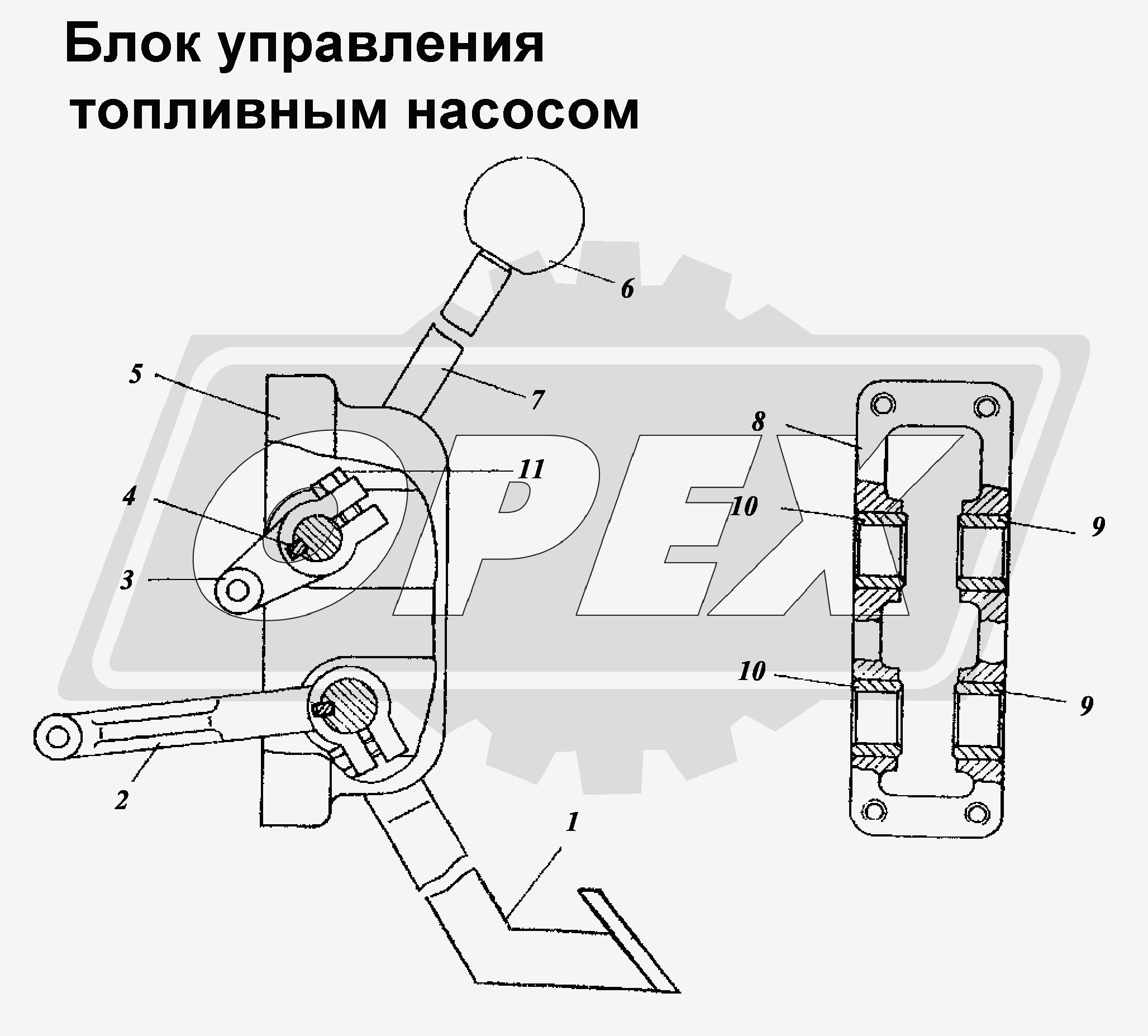 К сожалению, изображение отсутствует