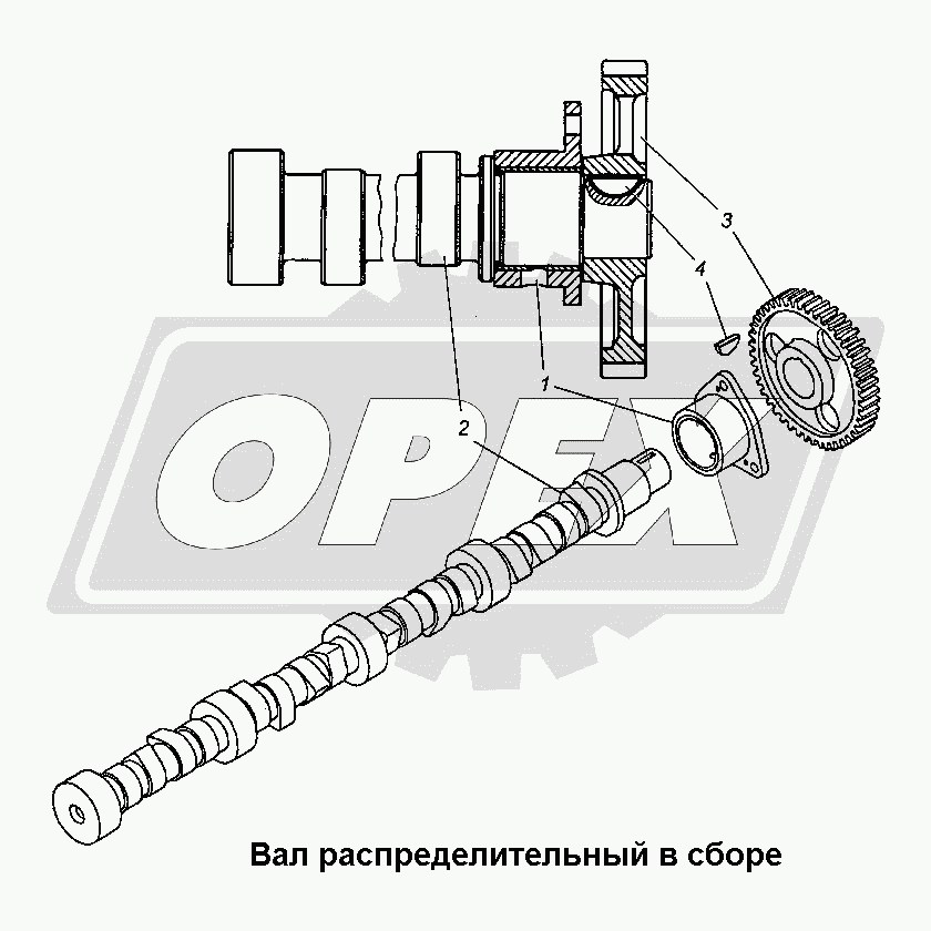 К сожалению, изображение отсутствует