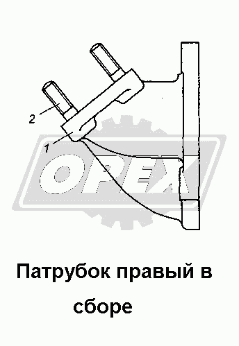 К сожалению, изображение отсутствует