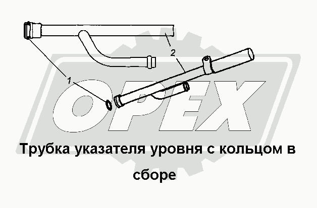 К сожалению, изображение отсутствует