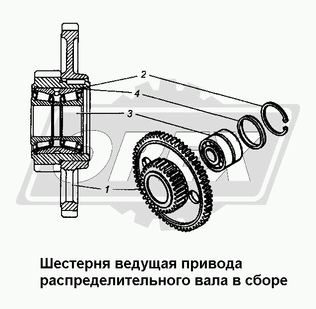 К сожалению, изображение отсутствует