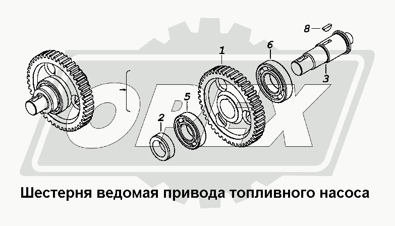 К сожалению, изображение отсутствует