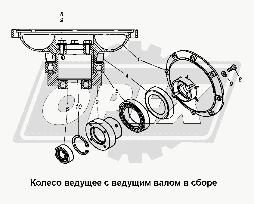 К сожалению, изображение отсутствует