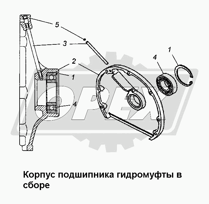 К сожалению, изображение отсутствует