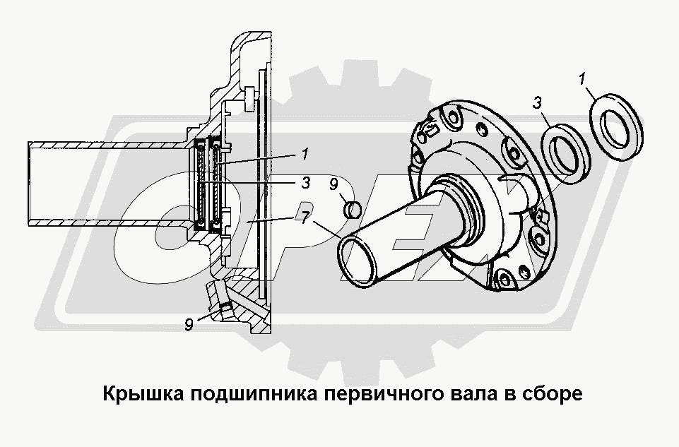 К сожалению, изображение отсутствует