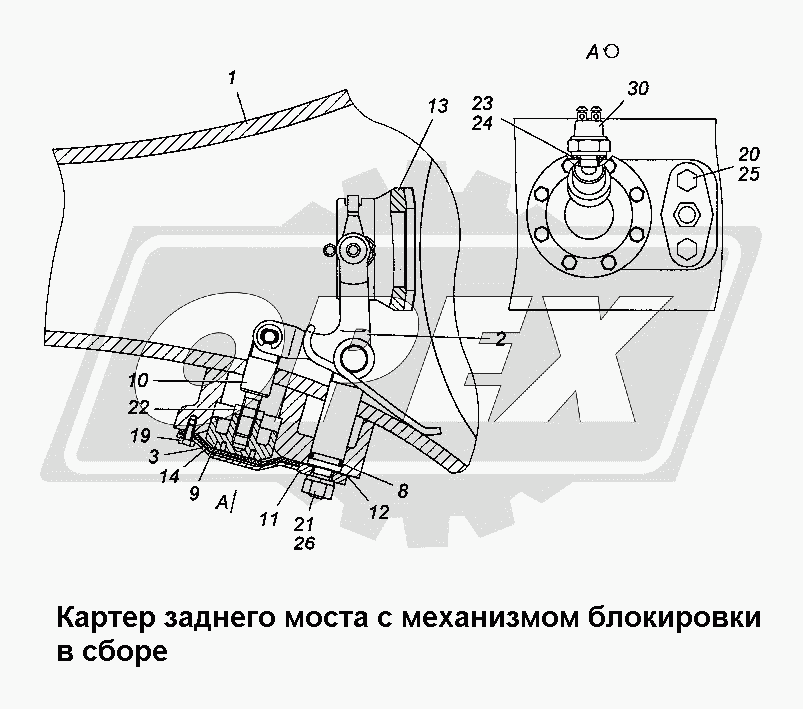 К сожалению, изображение отсутствует