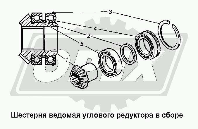 К сожалению, изображение отсутствует