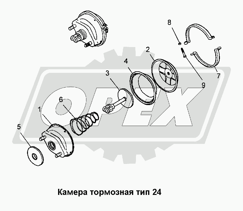 К сожалению, изображение отсутствует