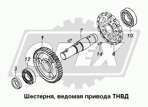 К сожалению, изображение отсутствует