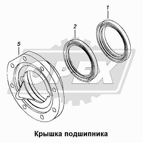 К сожалению, изображение отсутствует