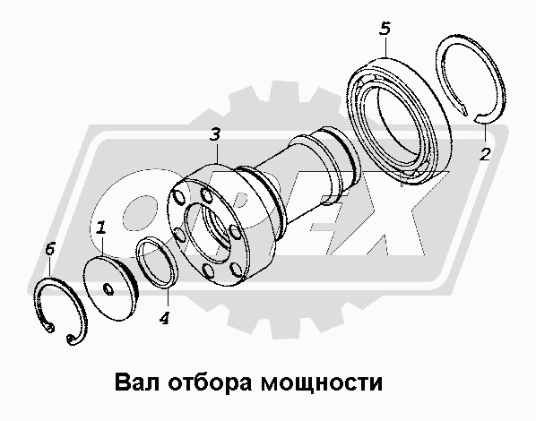 К сожалению, изображение отсутствует