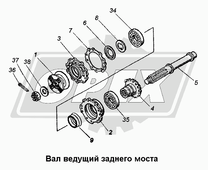 К сожалению, изображение отсутствует