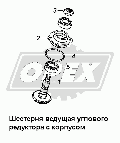 К сожалению, изображение отсутствует