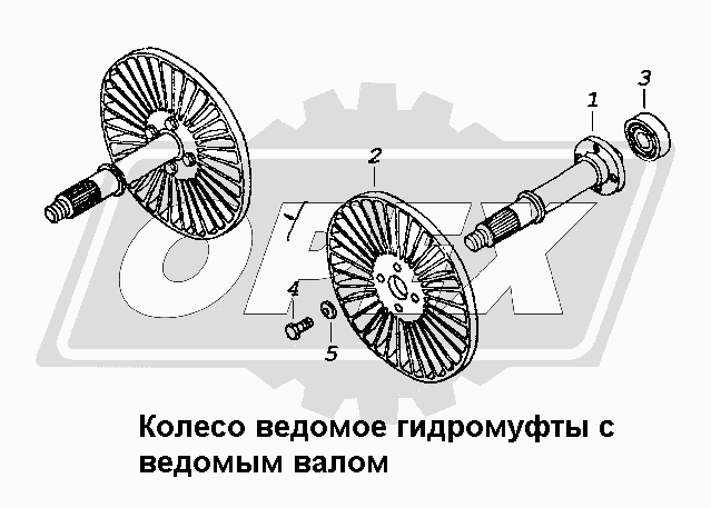 К сожалению, изображение отсутствует