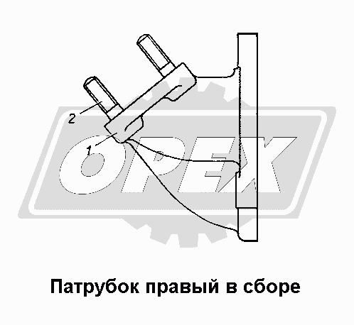 К сожалению, изображение отсутствует