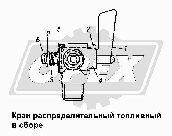 К сожалению, изображение отсутствует