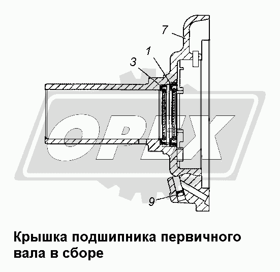 К сожалению, изображение отсутствует