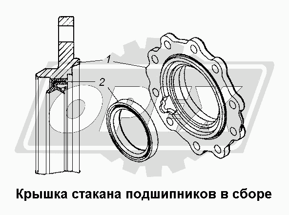 К сожалению, изображение отсутствует