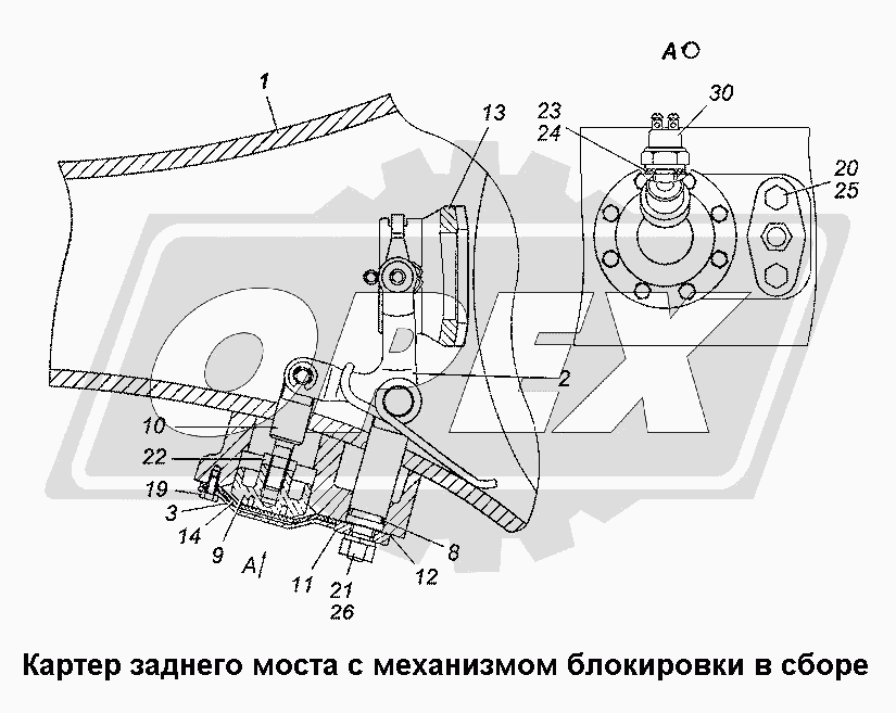 К сожалению, изображение отсутствует