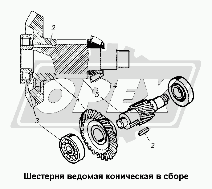 К сожалению, изображение отсутствует