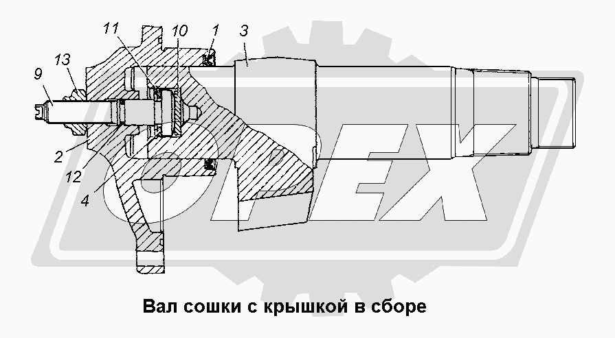 К сожалению, изображение отсутствует