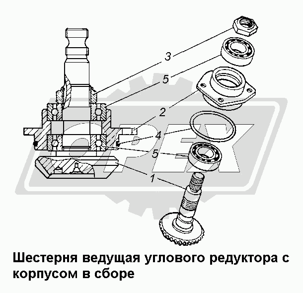 К сожалению, изображение отсутствует