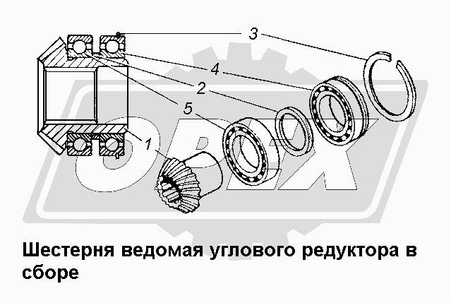К сожалению, изображение отсутствует