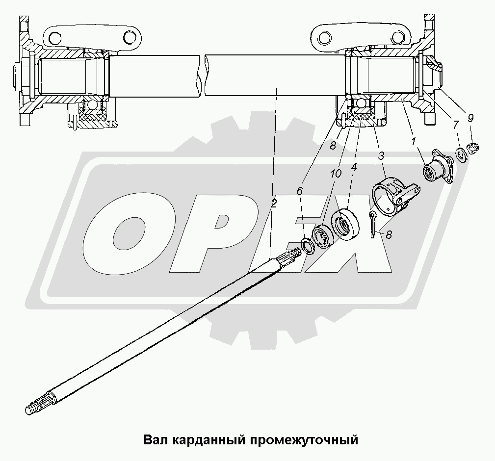 К сожалению, изображение отсутствует